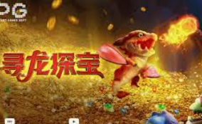 星空综合app2024最新版