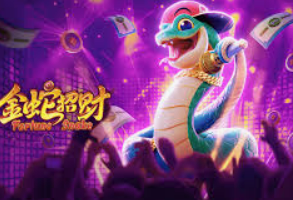 星空综合app2024最新版