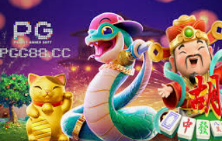 星空综合app2024最新版