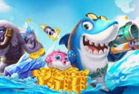 星空综合app电脑免费版