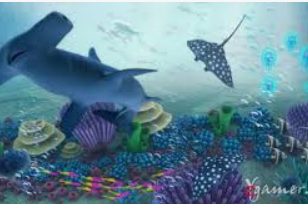 星空综合app最新版