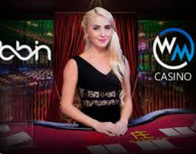 星空综合app最新版