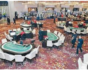 星空综合app正式版