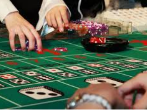 星空综合app手机版